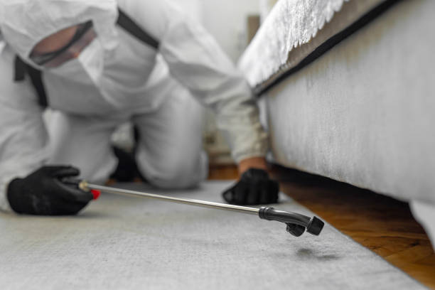 Professional Termite Control technician working in East Dennis, MA