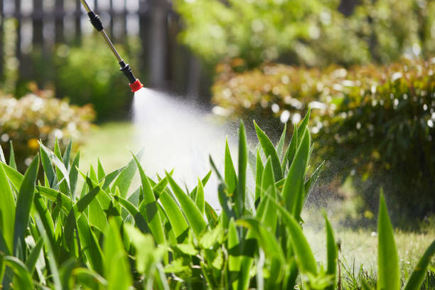 24/7 Emergency Termite Control experts in East Dennis, MA
