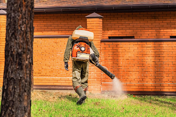 Trusted Termite Control service in East Dennis, MA - Nex Pest Control